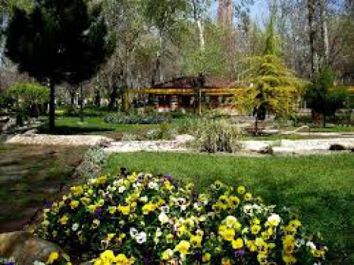 You are currently viewing تحقیق طراحی فضای سبز در شهر مشهد