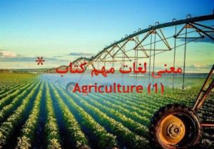 Read more about the article معنی لغات مهم کتاب  (1)Agriculture – کلمات زبان تخصصی رشته کشاورزی