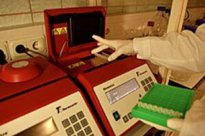 Read more about the article پاورپوینت کامل و جامع با عنوان بررسی روش واکنش زنجیره ای پلیمراز یا PCR در 31 اسلاید
