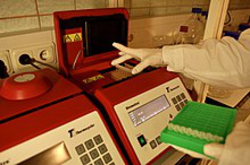 You are currently viewing پاورپوینت کامل و جامع با عنوان بررسی روش واکنش زنجیره ای پلیمراز یا PCR در 31 اسلاید
