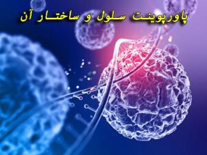 Read more about the article دانلود پاورپوینت آماده سلول و ساختار آن | 29 اسلاید