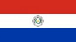 Read more about the article پاورپوینت کامل و جامع با عنوان بررسی کشور پاراگوئه در 28 اسلاید