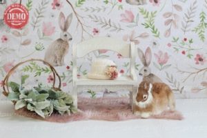 Read more about the article بک دراپ تولد تم خرگوش و صندلی چوبی-کد 6489