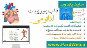 Read more about the article دانلود تم پاورپوینت آناتومی