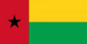Read more about the article پاورپوینت کامل و جامع با عنوان بررسی کشور گینه بیسائو در 20 اسلاید