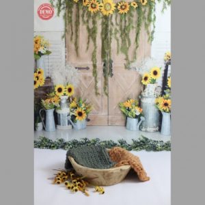 Read more about the article بک دراپ نوزاد وکودک کاسه چوبی و گل آفتابگردون-کد 6796