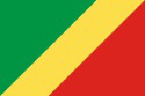 You are currently viewing پاورپوینت کامل و جامع با عنوان بررسی کشور جمهوری کنگو (کنگو برازویل) در 30 اسلاید