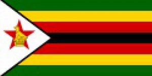 Read more about the article پاورپوینت کامل و جامع با عنوان بررسی کشور زیمبابوه در 40 اسلاید