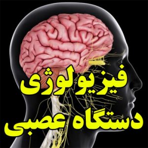 Read more about the article فیزیولوژی دستگاه عصبی