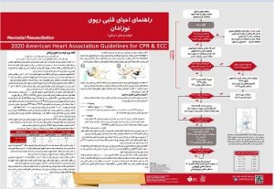 Read more about the article پوستر احیای قلبی ریوی نوزاد NRP بر اساس گایدلاین AHA 2020 (پوستر 2020 CPR)