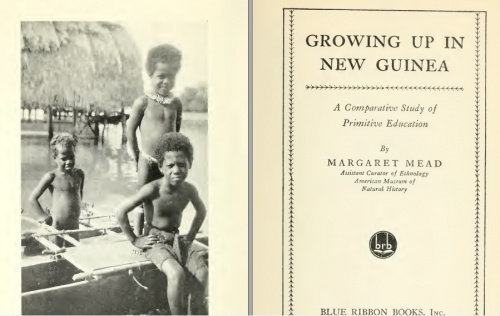You are currently viewing دانلود فایل خلاصه ترجمه کتاب مراحل رشد در گینه نو- مارگارت مید