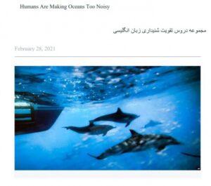 Read more about the article درس 6 – انسان اقیانوس ها را دچار آلودگی صوتی می کند