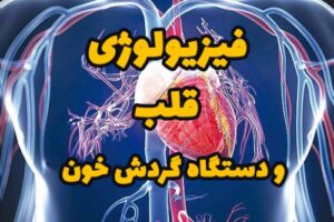 Read more about the article فیزیولوژی قلب و  دستگاه گردش خون