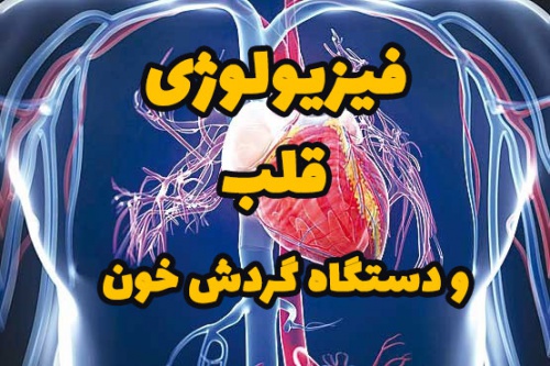 Read more about the article فیزیولوژی قلب و  دستگاه گردش خون
