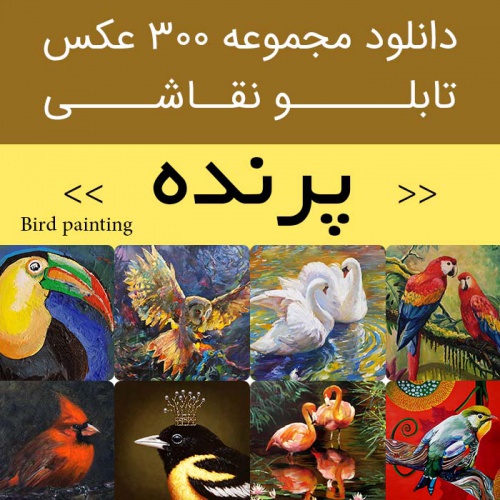 Read more about the article دانلود تابلو نقاشی پرنده| 300 فایل عکس زیبا و با کیفیت و چشمنواز طبیعی و عالی