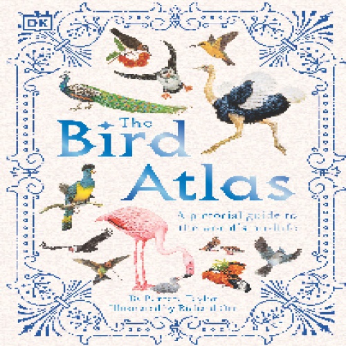 You are currently viewing The Bird Atlas