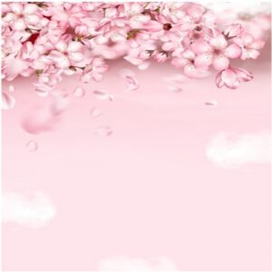 Read more about the article پس زمینه لایه باز استوری اینستاگرام ابرهای عاشقانه شکوفه گیلاس صورتی