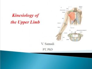 Read more about the article جزوه درسی اصول توانبخشی مبحث حرکت شناسی اندام فوقانی (Kinesiology of Upper limb) رشته مهندسی پزشکی