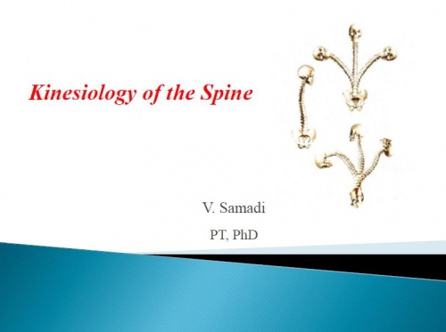 You are currently viewing جزوه درسی اصول توانبخشی مبحث حرکت شناسی ستون فقرات (Kinesiology of spine) رشته مهندسی پزشکی