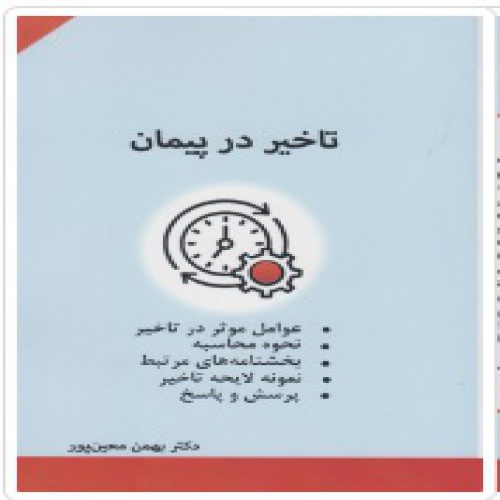 Read more about the article نسخه pdf کتاب تاخیر در پیمان- دکتر بهمن معین پور