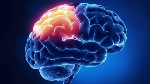 Read more about the article کدهای رایج در مغز و اعصاب PPT