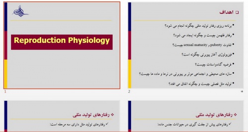 Read more about the article Reproduction Physiology (فیزیولوژی تولید مثل )
