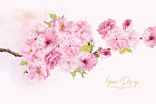 You are currently viewing وکتورپس زمینه با طرح شکوفه گیلاس صورتی