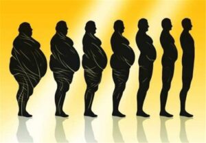 Read more about the article رژیم لاغری مخصوص آقایان با وزن بین ۱۰۰ تا ۱۳۰ کیلو گرم