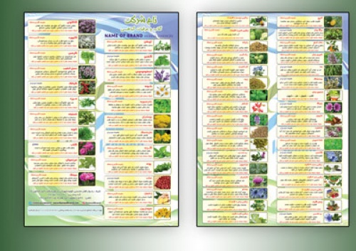 You are currently viewing طرح بروشور و کاتالوگ عرقیات گیاهی دارای 2 فایل psd
