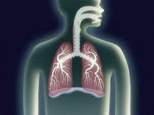 Read more about the article پاورپوینت تدریس مبحث سیستم تنفسی(lung)
